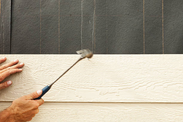 Best Historical Building Siding Restoration  in Monument Beach, MA
